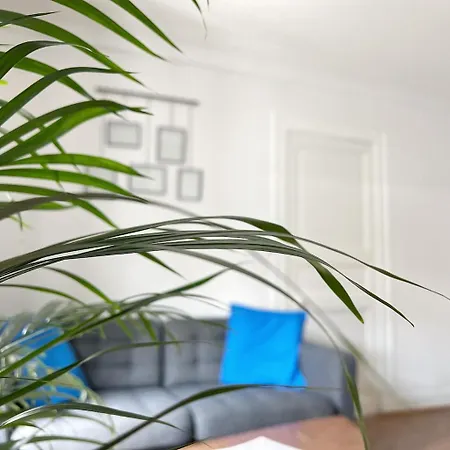 Le Petit Cambronne Hyper Center Apartman