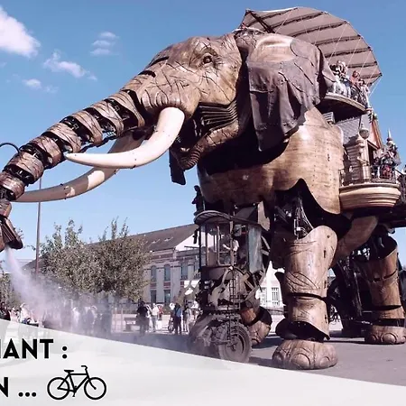 Le Petit Cambronne Hyper Center アパート *