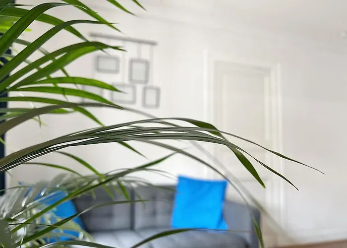 Le Petit Cambronne Hyper Center Appartement