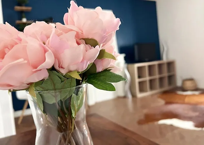 Appartement Le Petit Cambronne Hyper Center Nantes